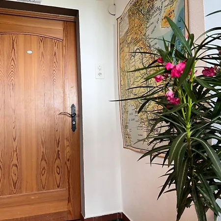 Himalayan Vibes Couette-café