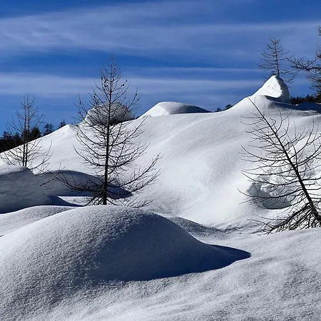 Himalayan Vibes Frühstückspension