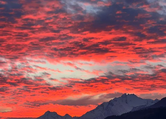 Himalayan Vibes Bed and breakfast 3*