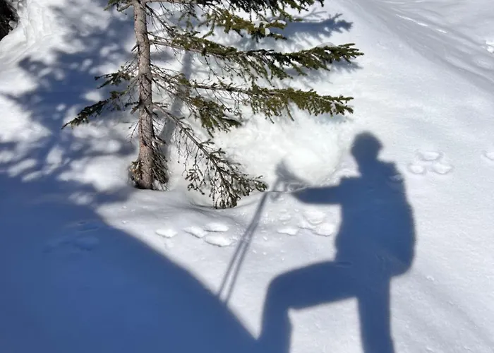 Himalayan Vibes 3* Icogne